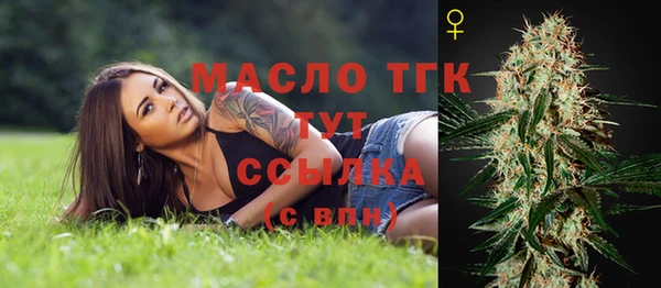 mix Бородино